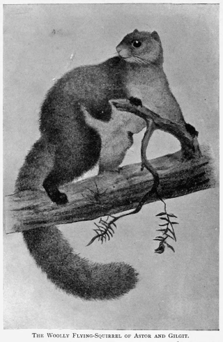 Illustration for article titled Some of the World's Rarest (and Strangest) Creatures